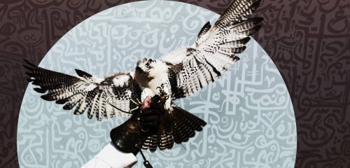 الصقّارون شمال سوريا ينتظرون "سنجار" و"عاشوق" وغيرهما… وأموال أمراء الخليج