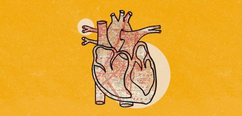 غزّة قلب وضمير العالم… في عالم بلا قلب أو ضمير