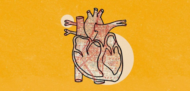 غزّة قلب وضمير العالم… في عالم بلا قلب أو ضمير