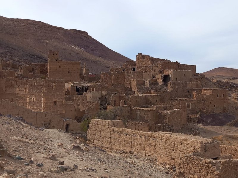  "الجفاف غيّر كل شيء"... رحلة مع مزارعي الزعفران جنوب المغرب