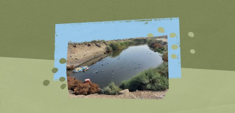 مليارات بلا طائل... استمرار صرف المخلفات في بحيرة المنزلة رغم تكلفة التطوير