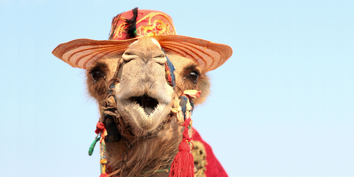 لا تدعوا لهيب صيف دبي يحبط عزيمتكم!